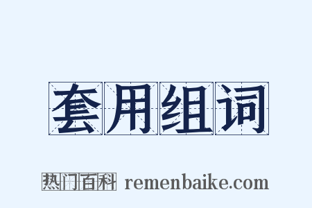 套用组词是什么意思的图片
